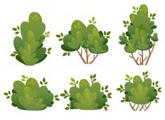 set of different trees and bushes with green leaves on white background in flat style, top view