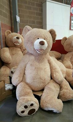 several large teddy bears sitting on the ground