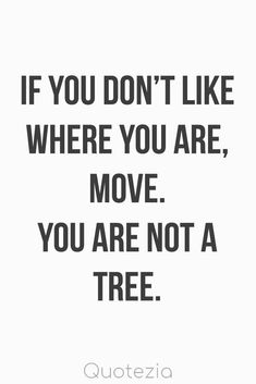 the quote if you don't like where you are, move you are not a tree