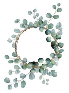 a wreath made out of eucalyptus leaves on a white background