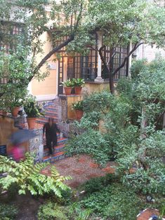 a person walking up some steps in front of a building with plants and trees on either side