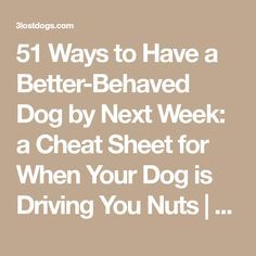 the text reads, 51 ways to have a better - behavior dog by next week a great sheet for when your dog is driving you nuts