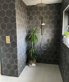 a bathroom with hexagonal tiles on the wall and a potted plant in the corner