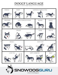 the dog language chart for dogs with different breeds and colors, including black and white