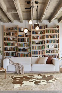 a living room filled with lots of books on shelves next to a zebra print rug