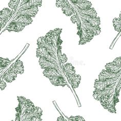 seamless pattern with green leafy vegetables on the white background, hand drawn illustration