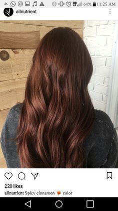 Chestnut Brown Hair With Red Undertone, Auburn Curly Hair Color, Russet Brown Hair, Chestnut Hair Color Dark, Dark Brown Copper Hair Color, Auburn Aesthetic, Dark Brown Auburn Hair, Dark Copper Brown Hair, Dark Honey Brown Hair