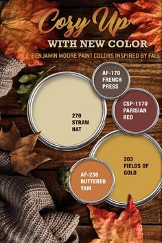 fall colors with text that says cozy up with new color