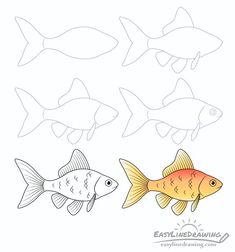 an easy to learn drawing game for children with fish and color the image on white paper