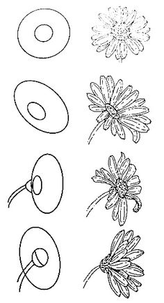 several different types of flowers drawn on paper