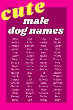 cute male dog names, boy dog names unique list, dog names Cute Dog Names Male, Cute Male Puppy Names, Male Puppy Names, Male Dog Names List, Rare Dog Names, Top Dog Names, Male Dog Names