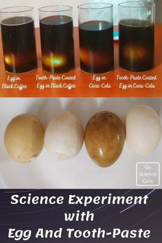 science experiment with egg and tooth - paste for kids to learn how to use eggs