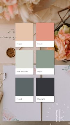 Alt Text: A moodboard featuring a harmonious sage and coral color palette. The palette includes midnight green, dark forest green, sage, pale green, coral, and peach. These colors are arranged in a stylish and visually appealing layout, perfect for small business branding or luxury weddings. The combination of deep and soft hues creates a balanced and elegant aesthetic. The moodboard showcases color swatches and design elements that highlight the versatility and beauty of this palette. Sage Bedroom Color Schemes, Sage Green And Peach Living Room, Sage And Coral Living Room, Coral And Sage Color Palette, Mood Board Sage Green, Muted Blush Color Palette, Sage Coral Wedding, Wedding Color Palette Elegant, Coral Green Color Palette