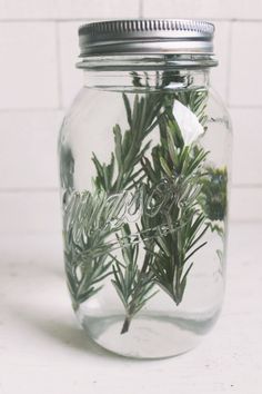 a glass jar filled with water and greenery