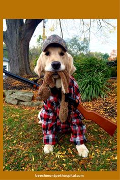 a dog wearing a hat and holding a stuffed animal in its mouth while sitting on the grass