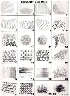 an image of different types of plants and their names in french, with the words education de la main on it