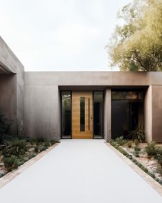 an entrance to a modern home surrounded by greenery