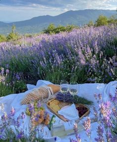 two glasses of wine are sitting on a blanket in the middle of a field with lavender flowers