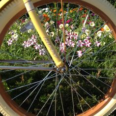 a close up of a bicycle tire with flowers in the background and grass