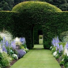 a garden with many different types of flowers and plants in the center, along side an archway