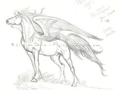 Pegasus Sketch, Pegasus Drawing, Old Sketches, Pegasus Art, Sketches Drawing, Painting On Glass, Fantasy Drawings