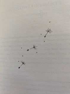 two dandelions flying in the air on top of an open book with writing underneath it