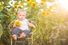 a baby sitting on a chair holding a sunflower in the middle of a field