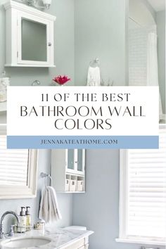 the best bathroom wall colors with text overlay