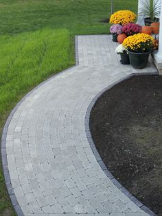 the walkway is lined with flowers and plants