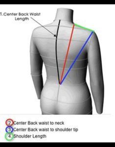 the back view of a woman's body with different angles and lines on it