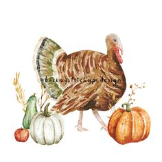 a watercolor painting of a turkey and pumpkins