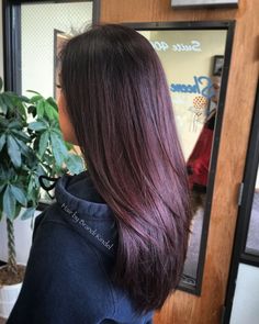 Blackberry Hair Colour, Hair 2025, 2 Hair Color, Hair Color Plum, Hair Perm, Long Bobs, Wine Hair, Cherry Hair