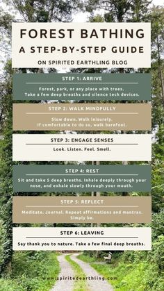 the forest bathing step by step guide for beginners to learn how to use it