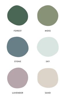 the different shades of paint that can be used to create a color scheme for your home