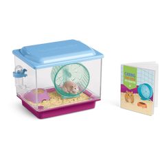 a small hamster in a plastic cage next to a book and toy mouse on the ground