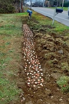 a man digging in the ground next to a road with lots of dirt on it