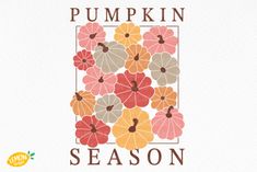 the pumpkin season is coming up and it's time to start