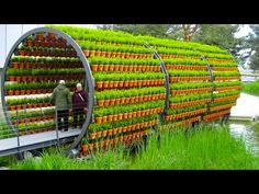 two people are standing on a bridge made out of flowerpots in the grass