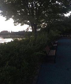 the sun shines brightly through the trees and over the benches along the water's edge