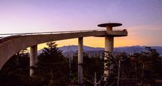 an elevated walkway with trees on both sides and mountains in the background at night time