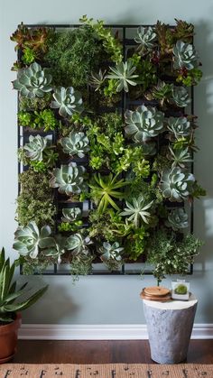 a wall mounted planter with succulents and other plants on it's side