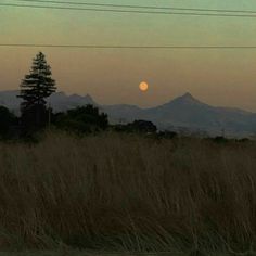 the sun is setting over some mountains in the distance, with tall grass on the foreground