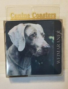 a black and white photo of a dog on a cd case hanging on a wall