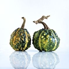 two green and yellow gourds sitting next to each other on a reflective surface