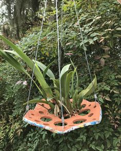 a hanging planter filled with green plants in the middle of trees and bushes behind it