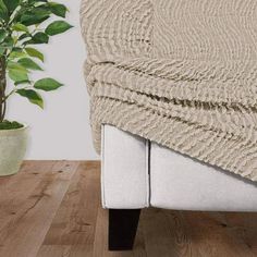 a white couch sitting on top of a wooden floor next to a potted plant