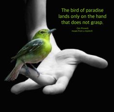 a green bird perched on the palm of a person's hand with a quote