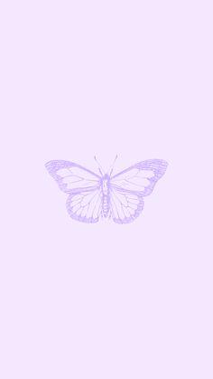 a white butterfly on a pink background