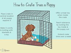 a dog in a cage with instructions about how to crate train a puppy on it