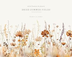 wildflowers and plants are featured in this watercolor painting style background with the words, dried summer fields